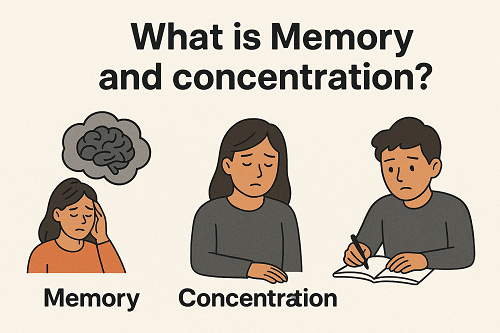 What is Memory and concentration